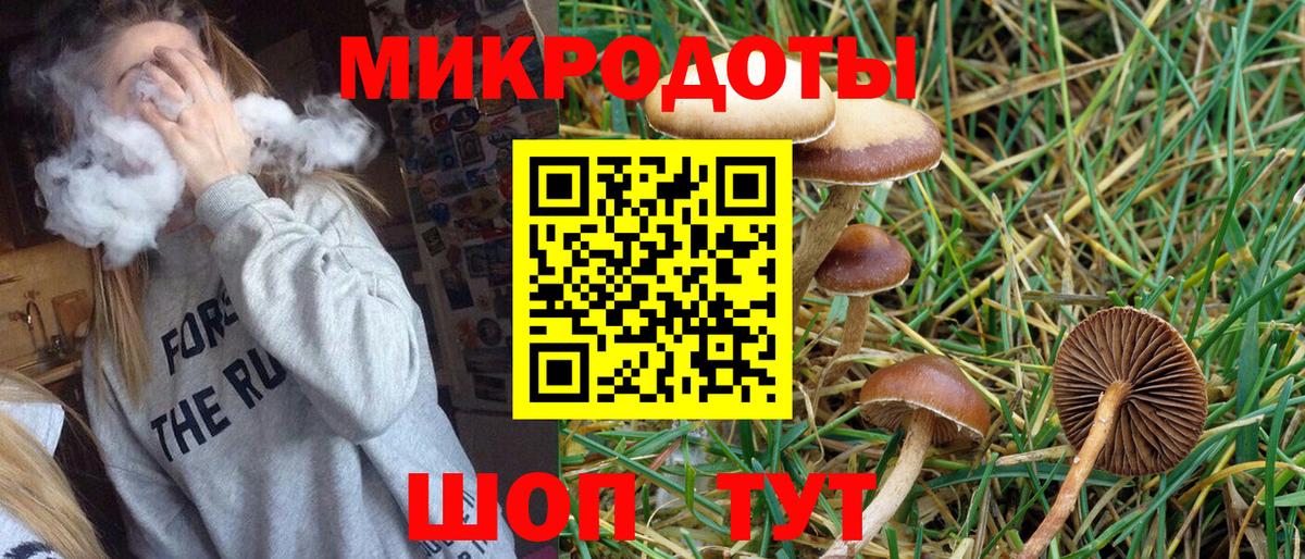 Гурьевск  Псилоцибиновые грибы ЛСД  Псилоцибиновые грибы MAGIC MUSHROOMS  Вход с VPN 