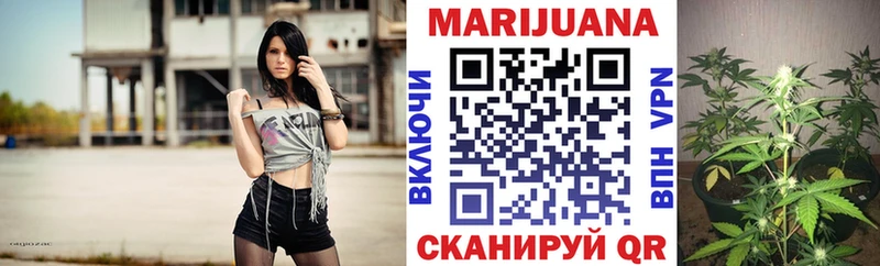 omg рабочий сайт  купить  цена  Гурьевск  Канабис THC 21% 